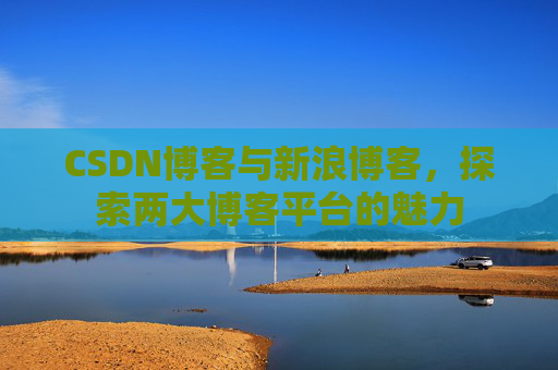 CSDN博客与新浪博客，探索两大博客平台的魅力
